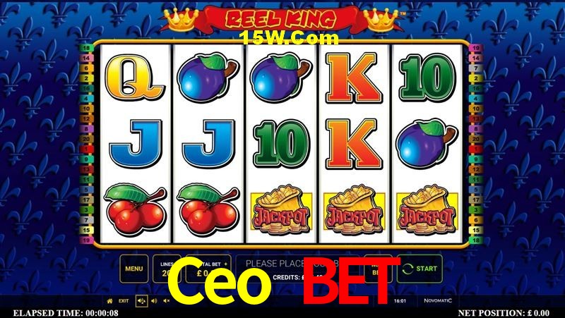 API Integration Ceo Bet